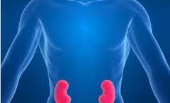 nefropatheis_diavitikoi