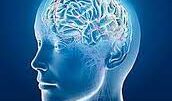 parkinson_blood_test