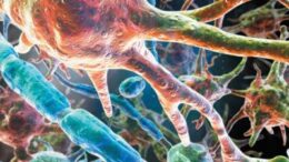 antikarkiniki_therapeia