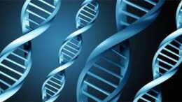 karkinos_prostati_gonidio