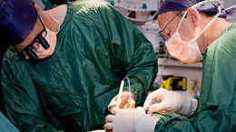 metamosxefsi_proswpou