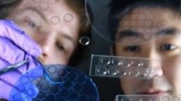 microsoft_fakoi_epafhs