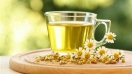 antigirantika_votana