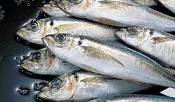 kapste_koiliako_lipos