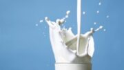milk_mnimi
