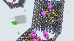 nanorobot_DNA