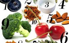 organismos_poikilia_trofwn