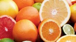 portokalia_egkefaliko