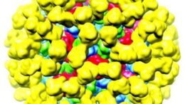 riniko_emvolio_gastrenteritida