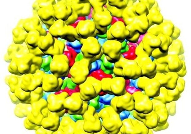 riniko_emvolio_gastrenteritida