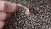 chia