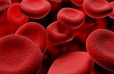 protein_kardiopathies