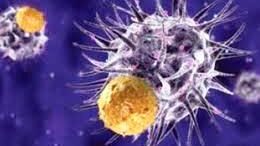 gonidio_karkinos_pagkreatos