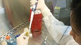 ligotera_iatrika_test