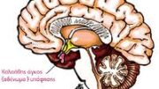cushing_disease