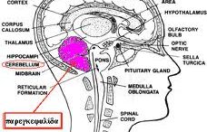 sklirinsi_kata_plakas
