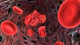 thalassemia_pagk_hmera