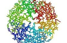 thlexirisomena_gonidia_insoulini