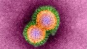 H5N1