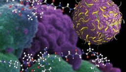 afksisi_karkinou_2030