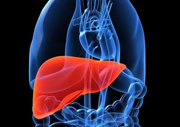 hpar_vlastika_kyttara