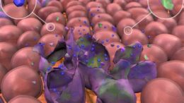 kryologima_nika_karkino