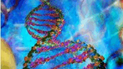gonidiaki_therapeia_lipassi