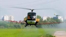 ios_neilou_psekasmoi