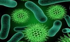 mikrovia_avosop_sistima