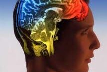 egkefalos_ippokampos