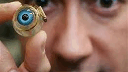 emfitefsi_vionikou_matiou