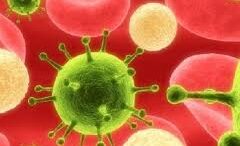 ipatitida_C_neo_farmako