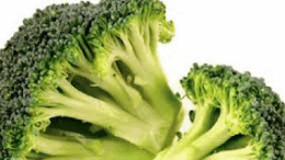 mprokolo_karkinos_mastou