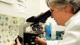 thanatiforo_mikrovio