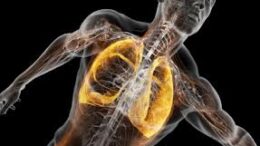 xhmiki_ousia_anapnoh