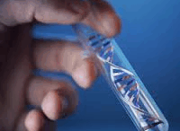 aima_test_DNA_mallia_matia