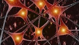 farmako_anaplathei_ton_myiko_isto