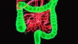 diavitis_karkinos_paxeos_enterou