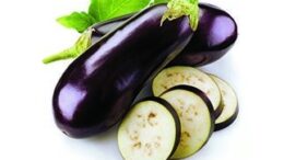 freska_h_katepsigmena_laxanika