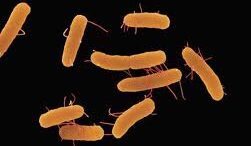 nea_antiviotika_afoplizoun_mikrovia