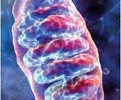 nea_methodos_ygeih_paidia