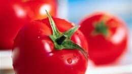 ntomates_enantion_egkefalikwn