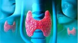 thiroeidis_adenas_vlastokittara