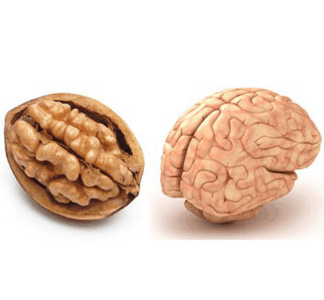 trofes-pou-thimizoun-meri-swmatos