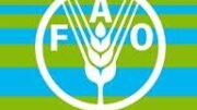 world_food_day