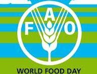 world_food_day
