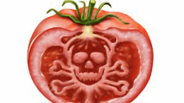 10_trofes_pou_mporei_na_mas_arrwsthsoun