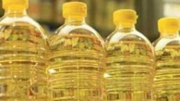 EFET_anaklisi_nothevmenou_elaioladou