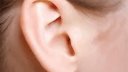 fortiste_apo_to_afti