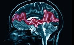 hremistika_gonidia_therapevoun_thn_epilipsia